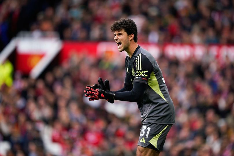 library_upload_21_2025_10_996x664_senne-lammens_9f58cbb