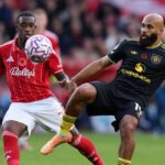 library_upload_21_2025_11_996x664_mu-forest_bf20470