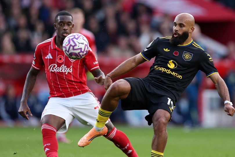 library_upload_21_2025_11_996x664_mu-forest_bf20470